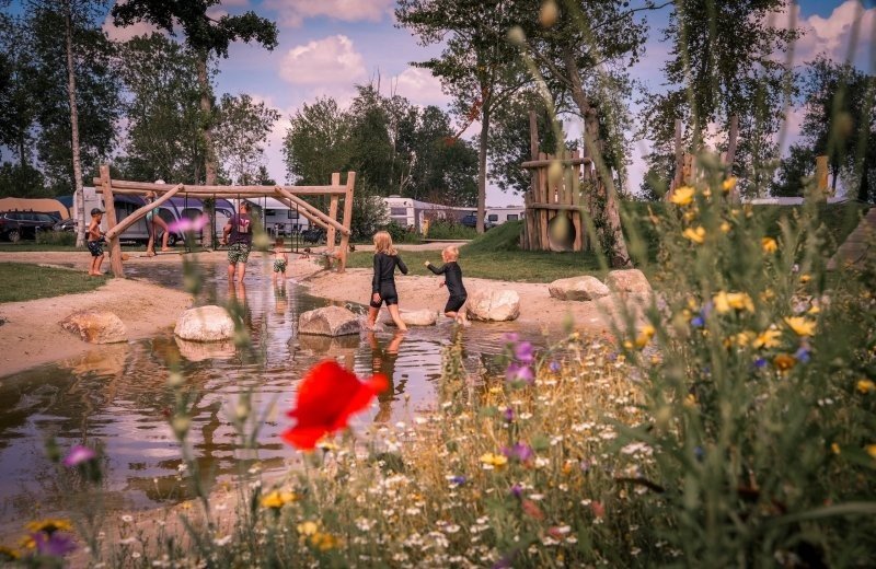 Kampeerplaatsen Natuurlijk Wedderbergen